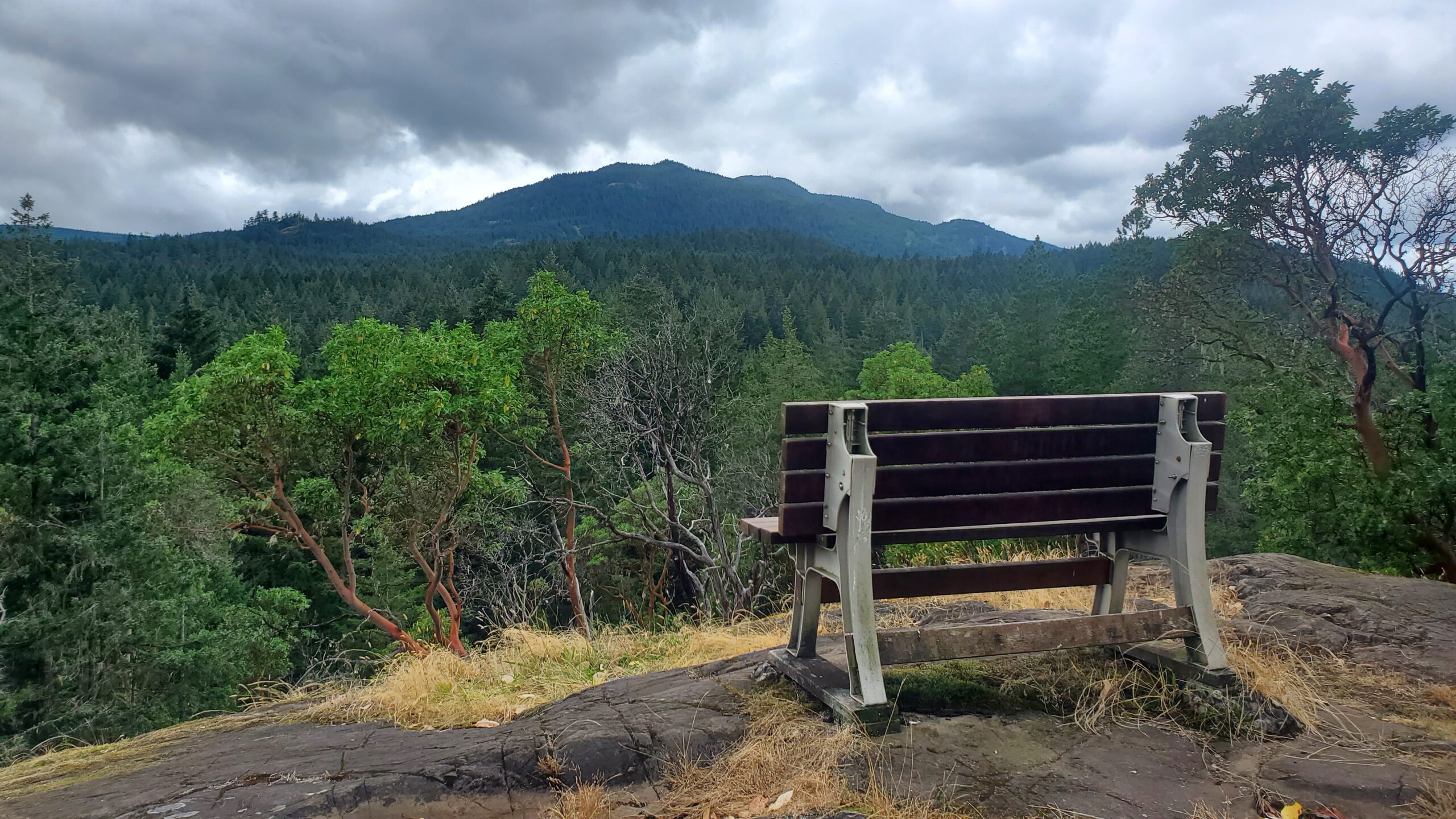 The nature-based therapy "office" can be a park bench with a view.