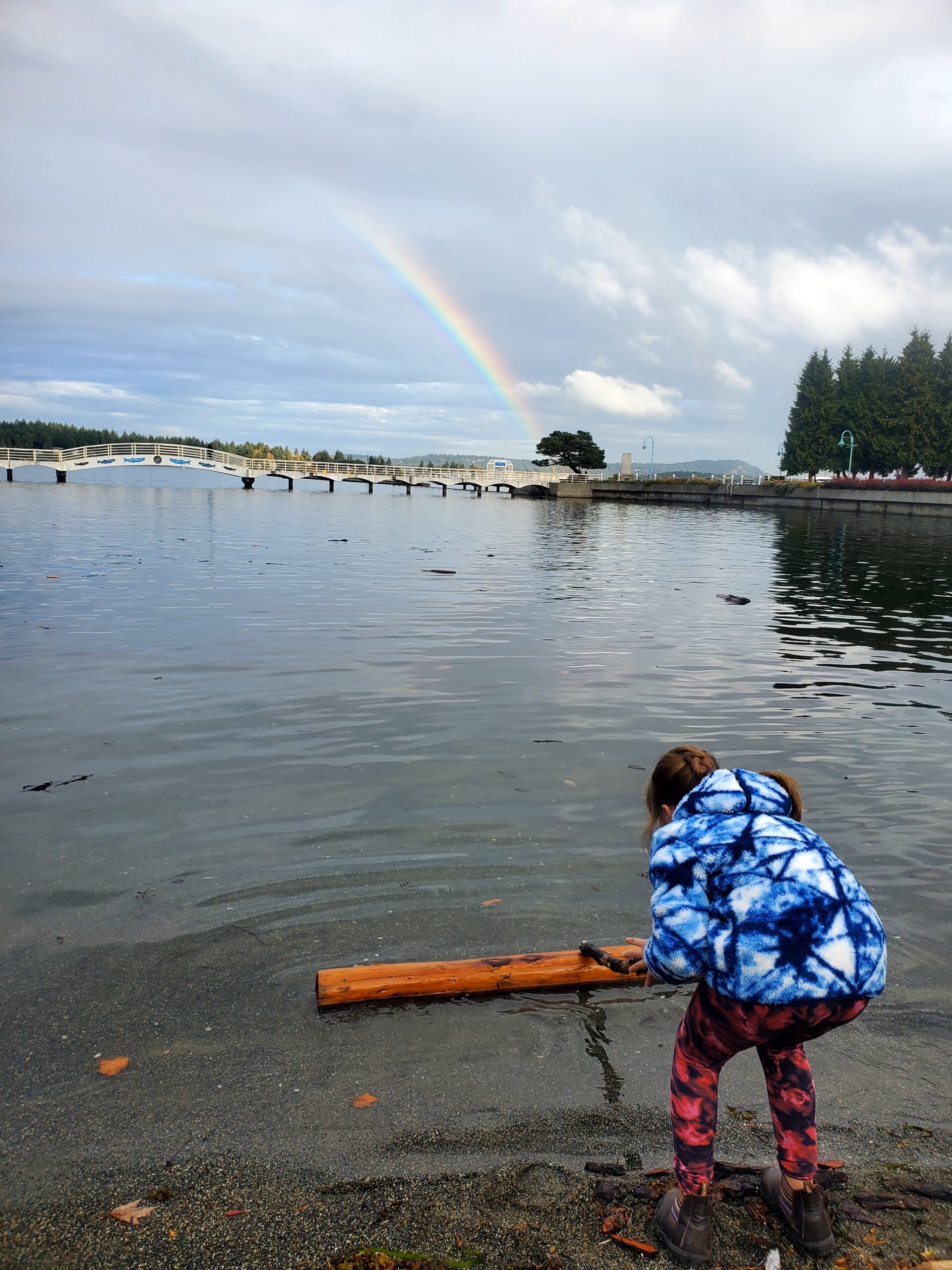 Counselling with kids involves play and nature therapy has the best playground. 